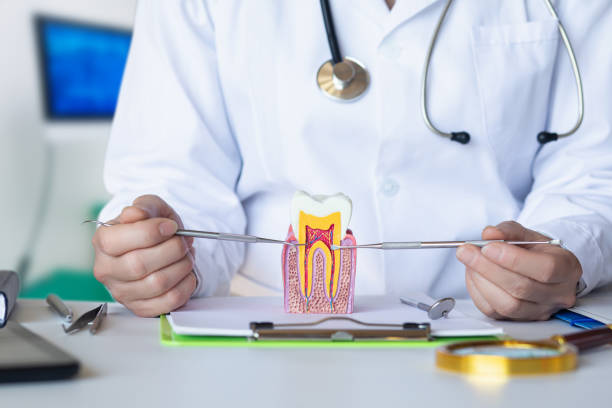 Best Broken Tooth Emergency  in Lake Telemark, NJ